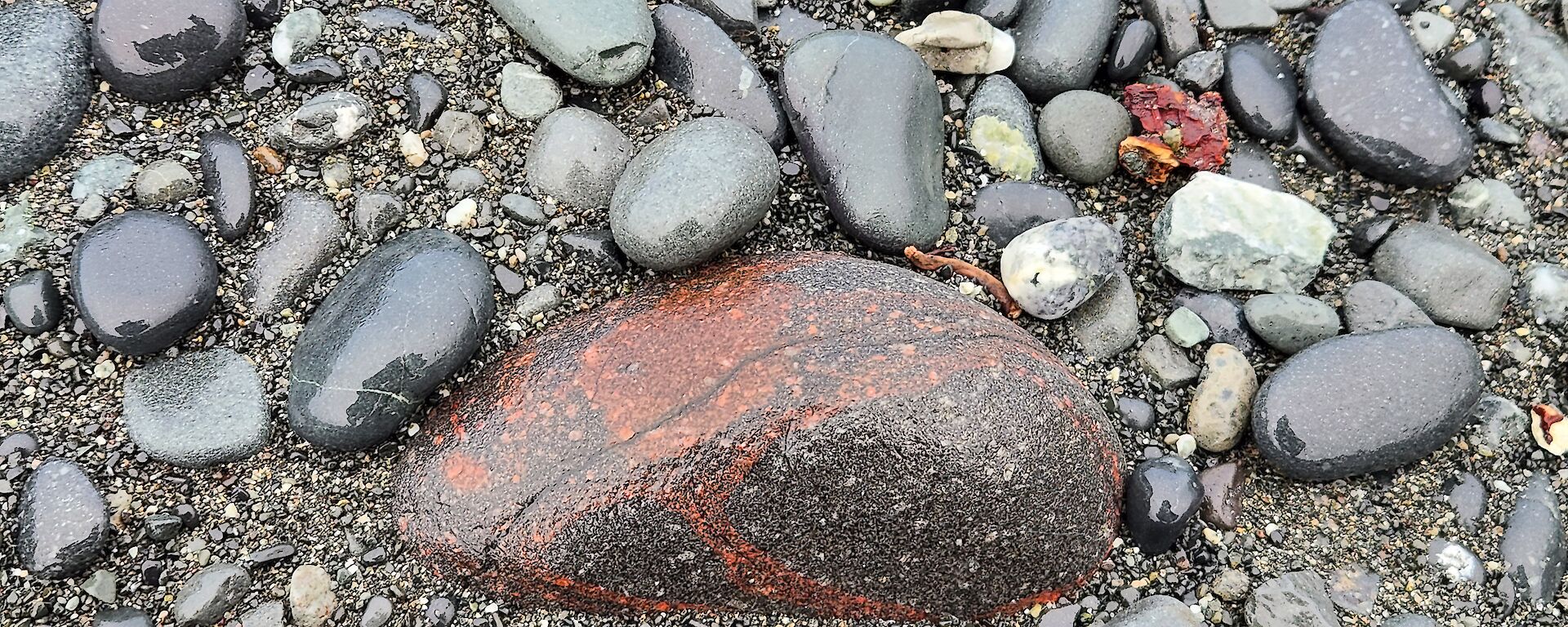 A red rock on the shore surrounded by grey rocks.