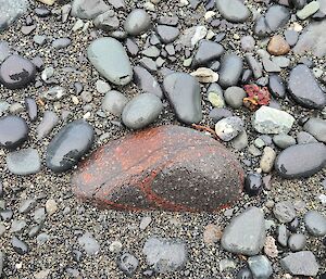 A red rock on the shore surrounded by grey rocks.