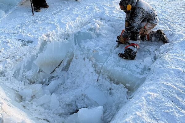 An expeditioner using a chainsaw to prepare cutting a square hole into the sea ice