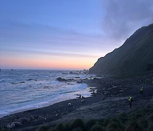 Sunrise or sunset looking out to sea with the seals on the beach