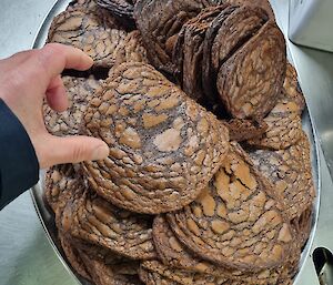 A plate of huge chocolate biscuits