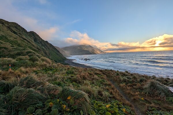View of sun-tinged clouds in the distance and a tussocky hill and ocean