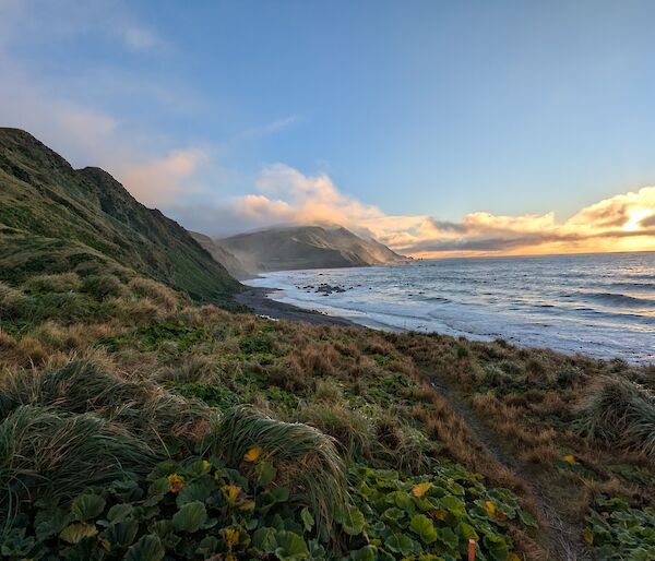 View of sun-tinged clouds in the distance and a tussocky hill and ocean