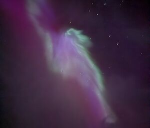 Purple and green lights in a black starry sky