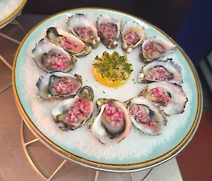 Oysters with a vinaigrette on a plate of salt