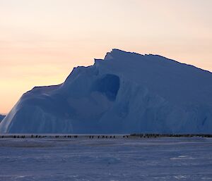 A picture of an emperor penguin colony into the distance, with a large iceberg behind the colony