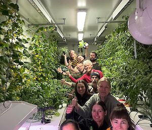 11 Antarctic expeditioners with green painted thumbs in a hydroponics building between vines of tomatoes and cucumbers