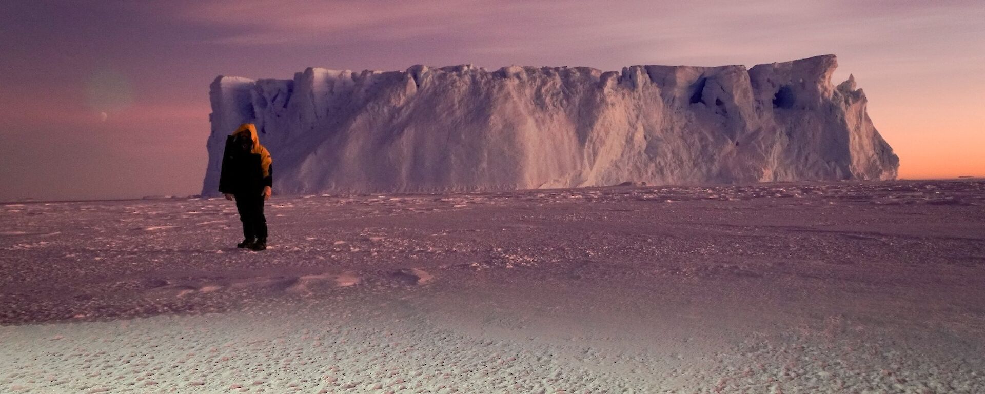 An expeditioner standing on the sea ice with an iceberg in the background, with early morning colours in the sky