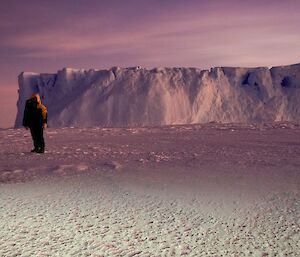 An expeditioner standing on the sea ice with an iceberg in the background, with early morning colours in the sky
