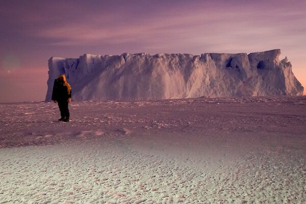 An expeditioner standing on the sea ice with an iceberg in the background, with early morning colours in the sky