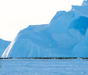 A photo of Auster Rookery in the distance, with the colony huddled together and surrounded by sea ice and jagged ice bergs