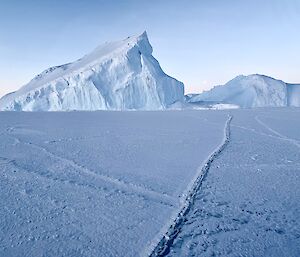 A picture taken on the sea ice early, with long tide cracks in the sea ice and jagged ice bergs in the background