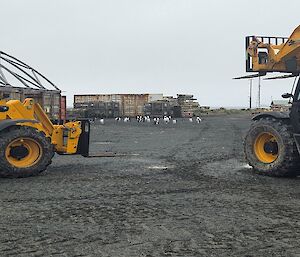 Two large yellow machines with a line of penguins in the distance