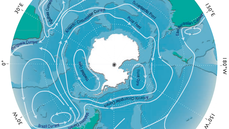 Diagram detailing Antarctic convergence, where the cold waters of the Antarctic circumpolar current meet and mingle with warmer waters to the north.
