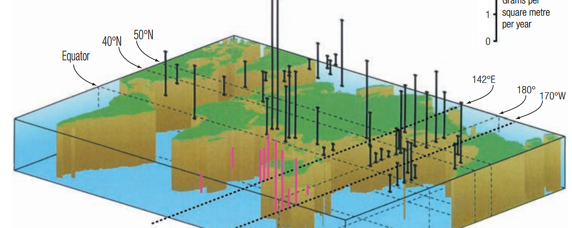 3D map showing Export Flux of organic carbon