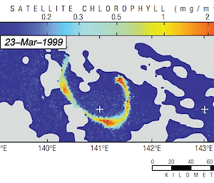 Graph showing Phytoplankton distribution in the Southern Ocean