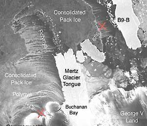 Part of a Radarsat ScanSAR image of the Mertz Glacier tongue region
