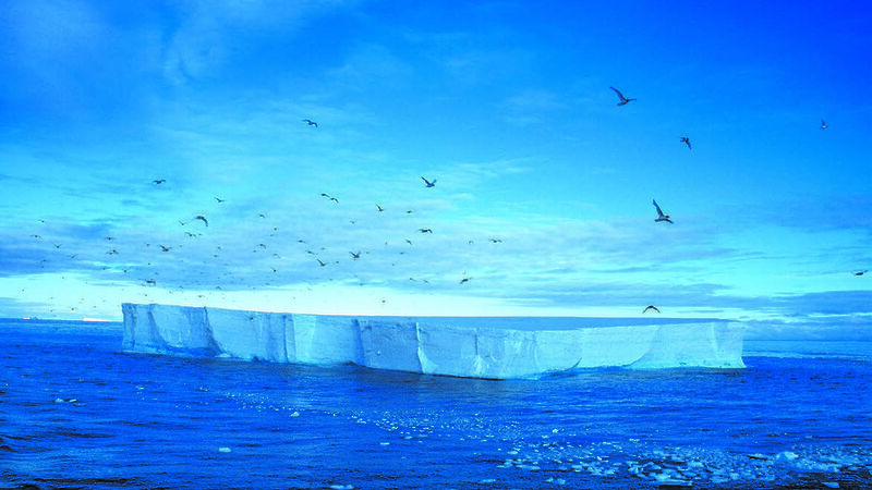 Birds flying above an iceberg