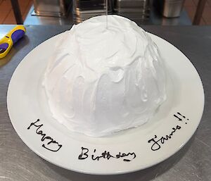 A picture of a birthday Lemon Bomb Alaska (Pre flames)