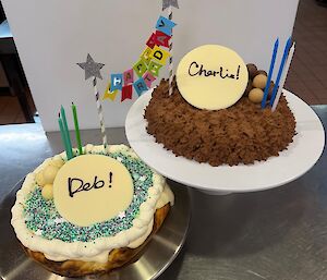 A picture of two cheesecake birthday cakes