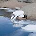 Taking samples at a contaminated site in Antarctica