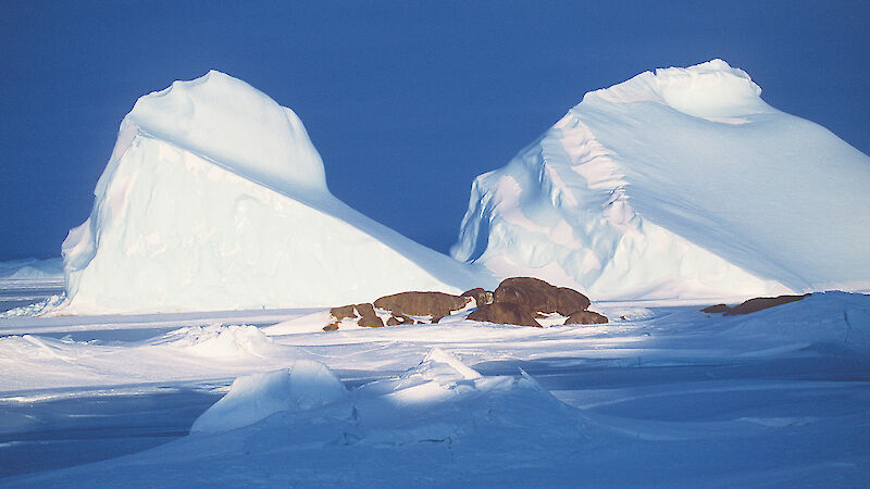 Grounded bergs at Macey Island