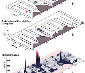 Graph depicting the distribution and abundance of whales, seabirds and Antarctic krill off East Antarctica