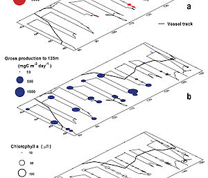 Graph depicting the distribution and abundance of salps, primary productivity and chlorophyll-a off East Antarctica