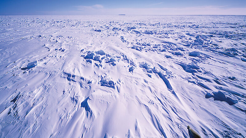 Large expanse of pack ice, with a seal visible in the bottom right corner