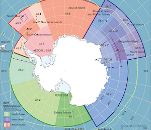 CCAMLR area map, detailing statistical areas and integrated study regions