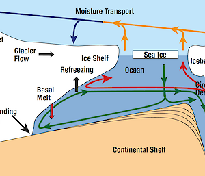 Figure 1: Schematic representation of the 2-D circulation under an ice shelf