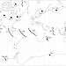 Map detailing the location and viewing directions of the Space Ship Earth network of neutron monitors