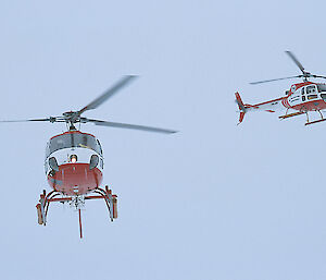 Two AS350B (Squirrel) helicopters in the air