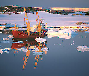 The Polar Bird vessel sits amongst small icebergs