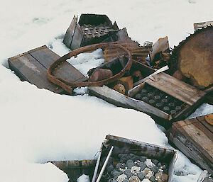 A few trays of thirty-year-old eggs collected in Antarctica