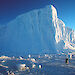 A penguin shuffles past an enormous iceberg