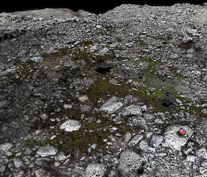 A 3-D point cloud with 1cm point spacing that capture the micro-topography of the moss beds. This point cloud is derived from overlapping UAV photography.
