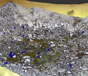 UAV photograph and location of moss quadrats draped over the digital elevation model.