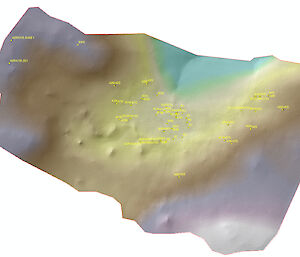 Digital elevation model interpolated from the transects.