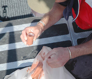 A scientist takes a whale poo sample for molecular analysis