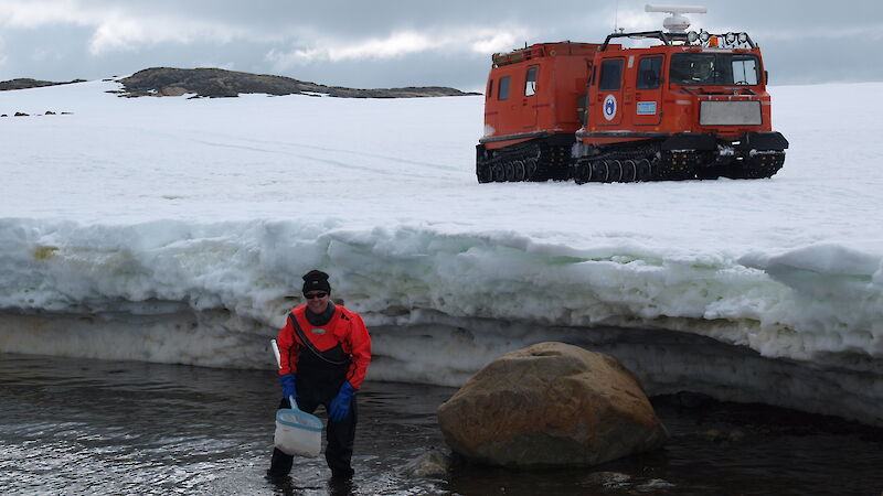 Woman collecting marine invertebrates with a dip-net near Casey station.