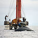 This Fijian double-hulled canoe is used for survey work and the recording of whale song.