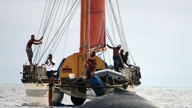 This Fijian double-hulled canoe is used for survey work and the recording of whale song.