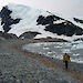 Tourists at a gentoo penguin rookery on Cuverville Island.