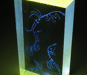 Euphausia superba: Antarctic Krill 01 (2009). Perspex block, engraved and inlaid with acrylic. 45mm x 80mm x 20mm. Up-lit with white LED light.