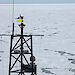 The Aurora Australis in sea ice.