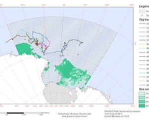 Map showing satellite tag tracks of the whales