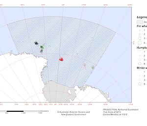 Map showing the distribution of large baleen whale sightings during the voyage