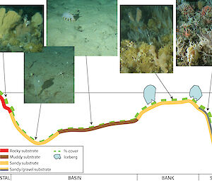 Graphic showing communities and characteristics of the sea floor environment across the George V Shelf