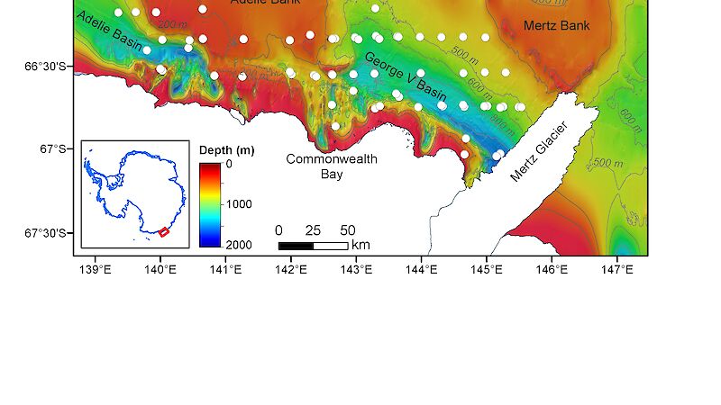 Map of sampling locations. White dots show the location of underwater video and still image transects.